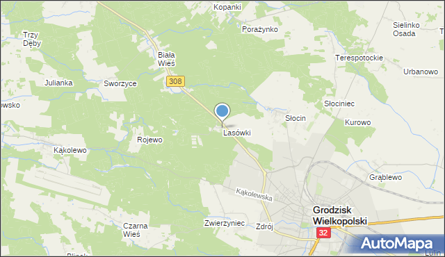 mapa Lasówki, Lasówki gmina Grodzisk Wielkopolski na mapie Targeo
